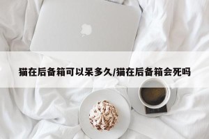 猫在后备箱可以呆多久/猫在后备箱会死吗