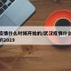 武汉疫情什么时候开始的/武汉疫情什么时候开始的2019