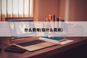 什么费用(铝什么费用)