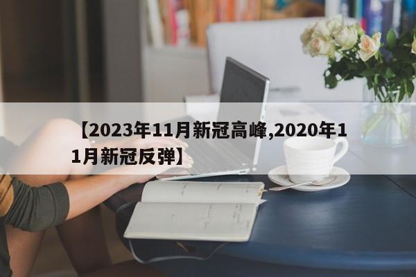 【2023年11月新冠高峰,2020年11月新冠反弹】