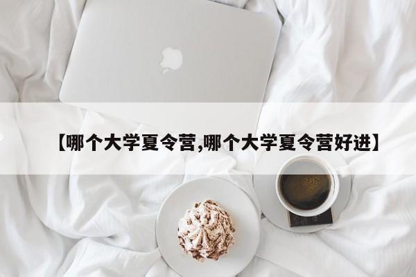 【哪个大学夏令营,哪个大学夏令营好进】